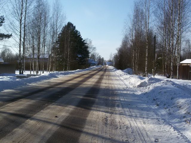 Белая гора Новгородская область.