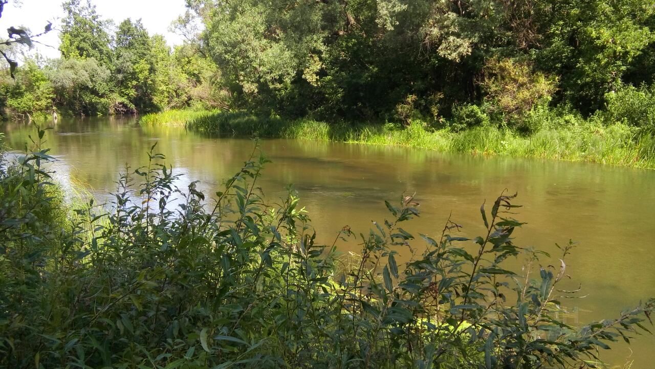 Калиновка самара. Калиновка Мордовия.