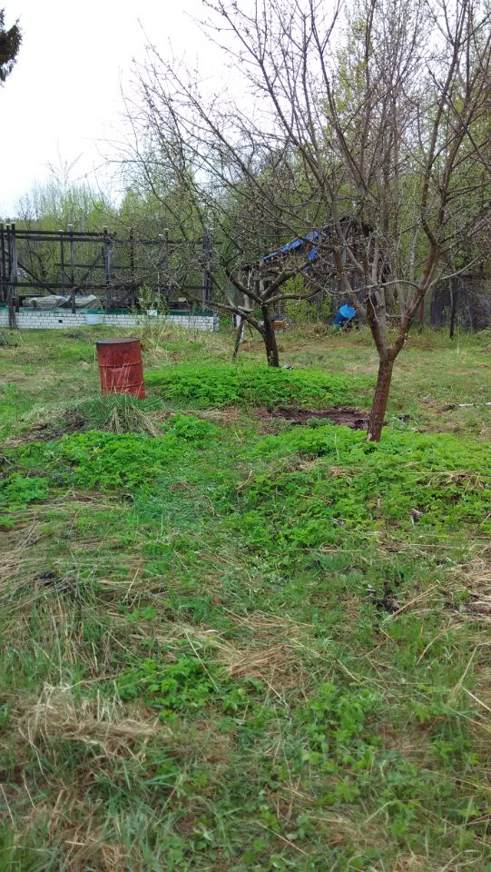 Купить Дом В Шонихе Нижегородской Области