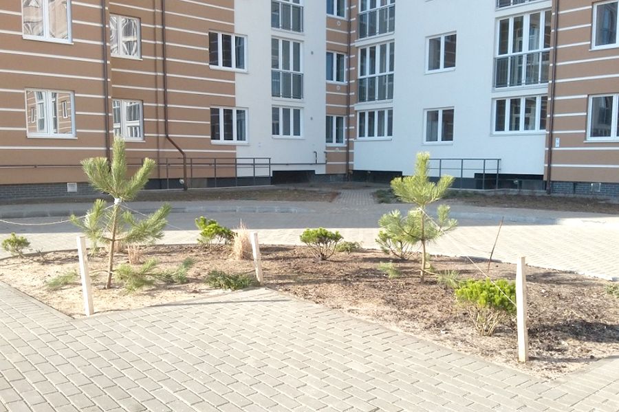 новостройки