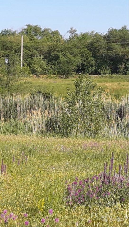 Погода село генеральское энгельсский. Село Генеральское Саратовская область.