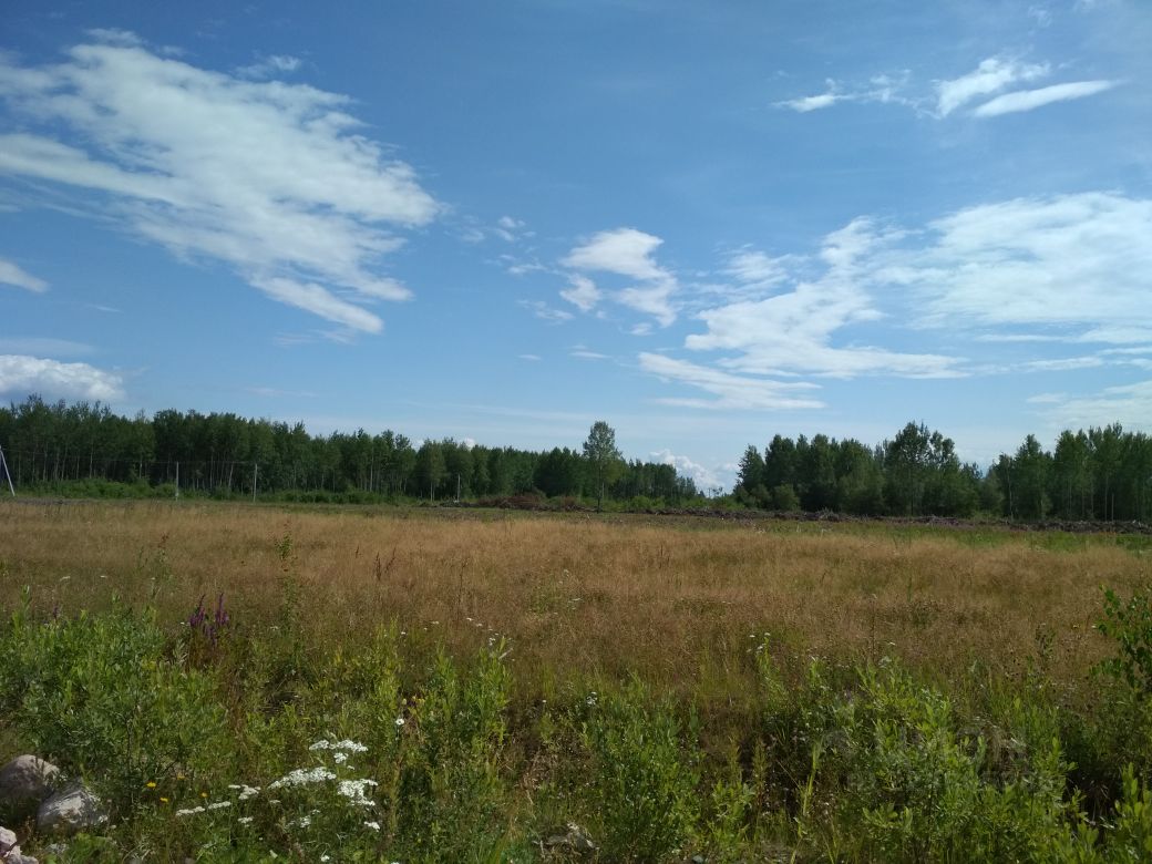 Земельные участки новгородский