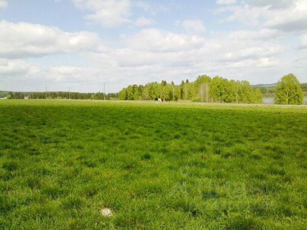 Продажа Участков Под Магазин