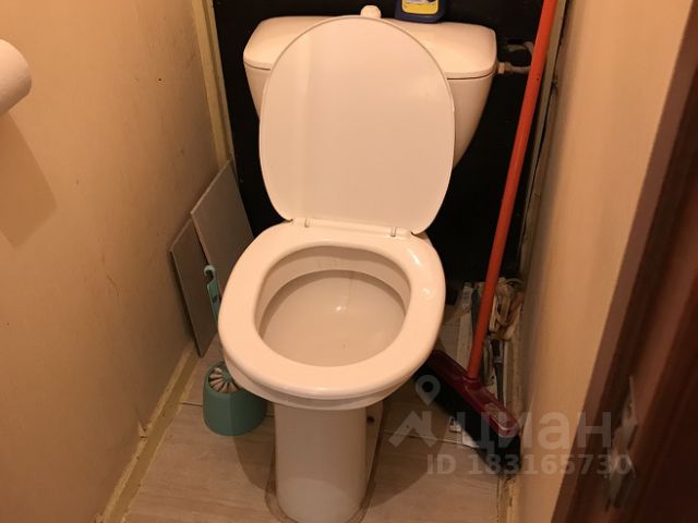 toilet30