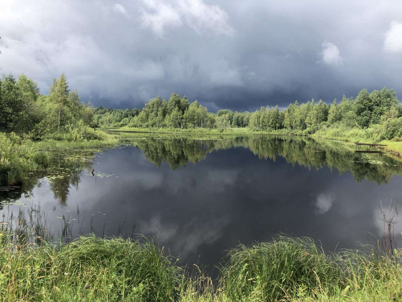 Новгородская область маловишерский. Река Вишерка Новгородской области. Маловишерский район. Река Вишерка. Реки Маловишерского района.