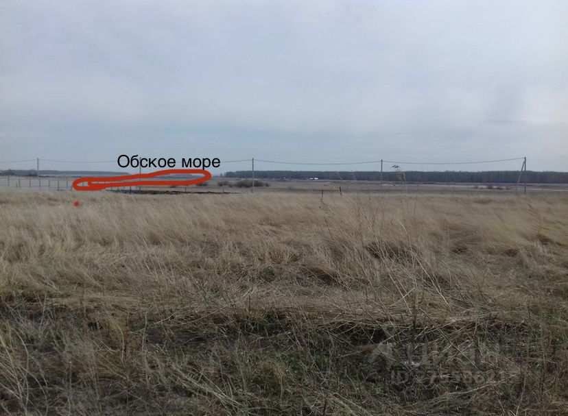 Новопичугово новосибирская область. Погода на неделю в новопичугово ордынский. Море новопичугово новосибирская область. Погода на неделю в новопичугово ордынский. Новопичугово новосибирская область.