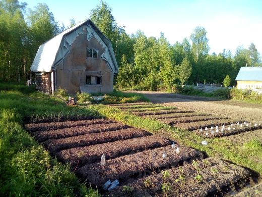 Замена нижних венцов бани в сыктывкаре