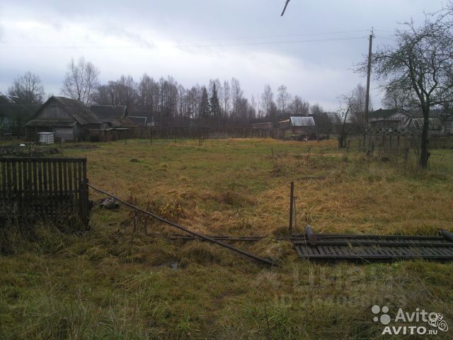 Погода в пола новгородской. Посёлок пола Новгородская область. Поселок пола. Малое Ладышкино.