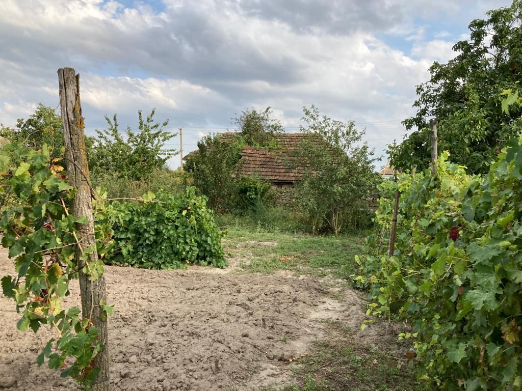 Погода ставропольский край село грушевского. Село Грушевское Ставропольского края. Грушевское Ставрополь.