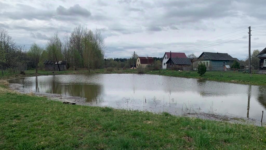 Бурашевское сельское поселение тверская область