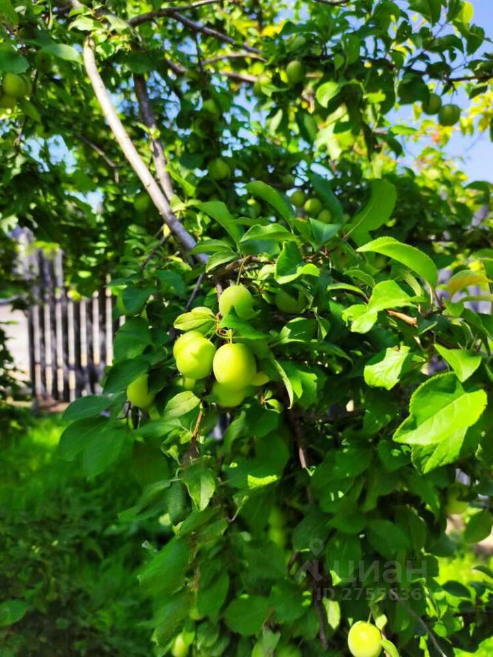 Натухаевская Краснодарский Край Купить Дом Вторичка