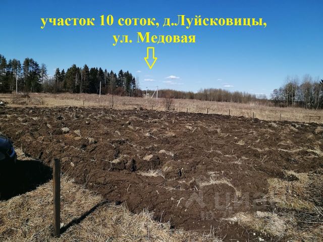 Межевание земельного участка Гатчинского района Межевание земельного участка Гатчинского района