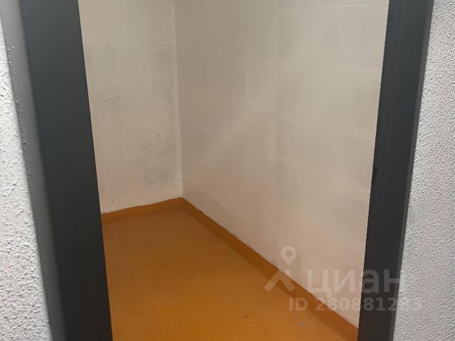 Кфс авто рядом