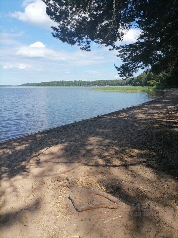 Погода красная долина ленинградская. Красная Долина Ленинградская область. Красная Долина.