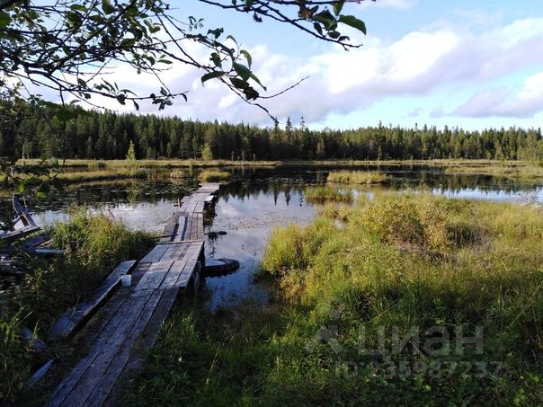 Поселок Энгозеро Лоухский район