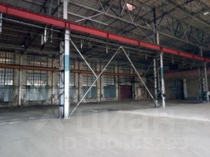 авито коммерческая недвижимость в пензенской области