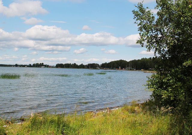 Село новые пески курганская область. Песочка чистополь озеро. Пляж в чистополе. Песочка чистополь озеро. Деревня острова курганская.