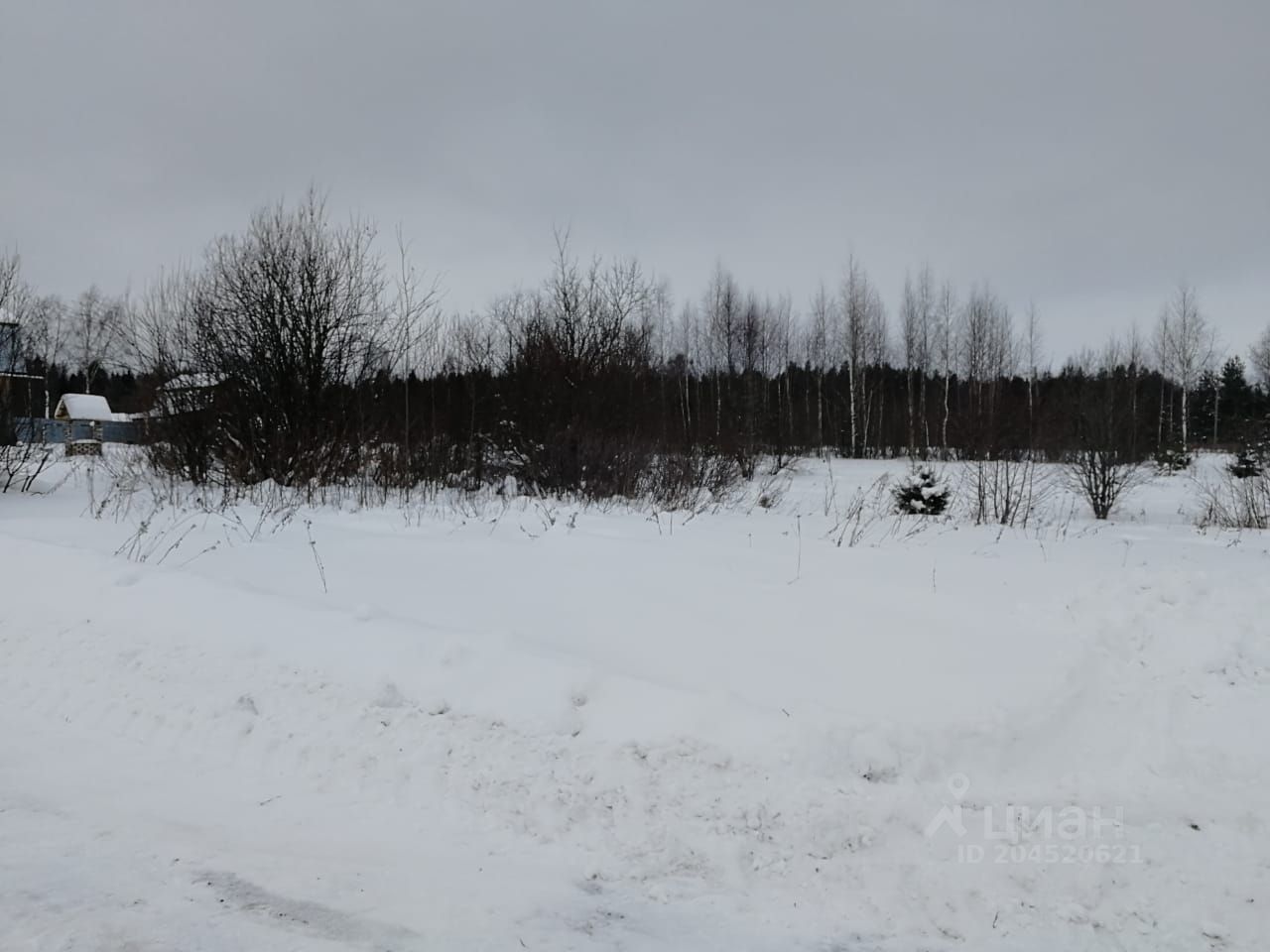 Посёлок сосновка вологодская область. Сосновка вологодский. Посёлок сосновка вологодская область. Посёлок сосновка вологодская область. Сосновка вологодский.