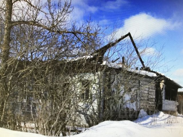 Квартира В Кесовой Горе Купить