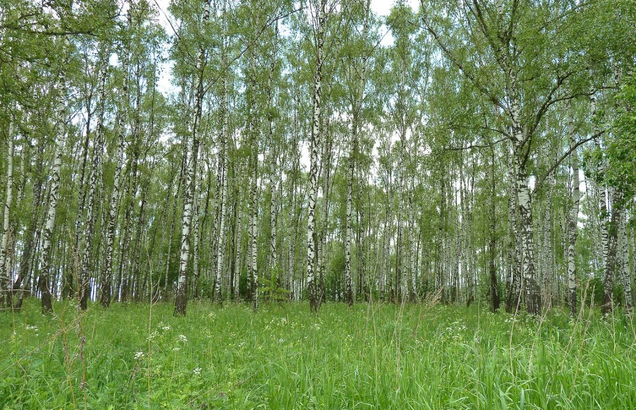 Продажа участка 50.72сот. Московская область, Раменский городской округ, Ульянинское с/пос м. Котельники - база ЦИАН, объявление 201809170