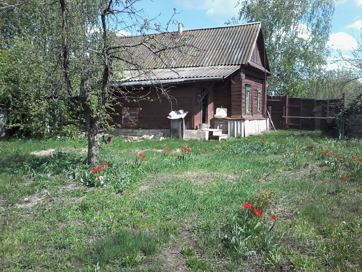 Погода самарская область владимировка безенчукский. Владимировка Безенчукский район. Владимировка Самарская область Безенчукский район. Село Владимировка Безенчукского района. Безенчукский район деревня Владимировка.