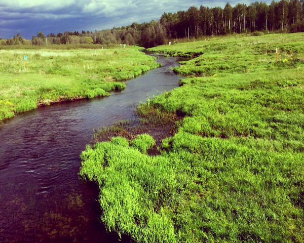 Река кава. Лихославльский район природа.