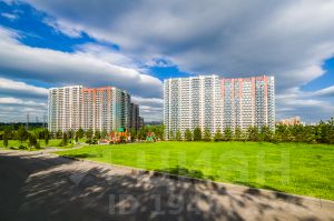 Аренда офиса 40 кв Муравская улица спрос в аренду коммерческой недвижимости в барнауле