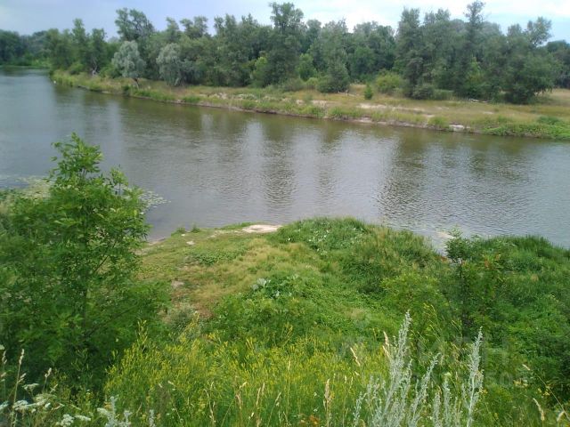 Село Алферовка Воронежская область