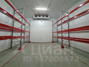 49 obyavlenij snyat pomeshenie na