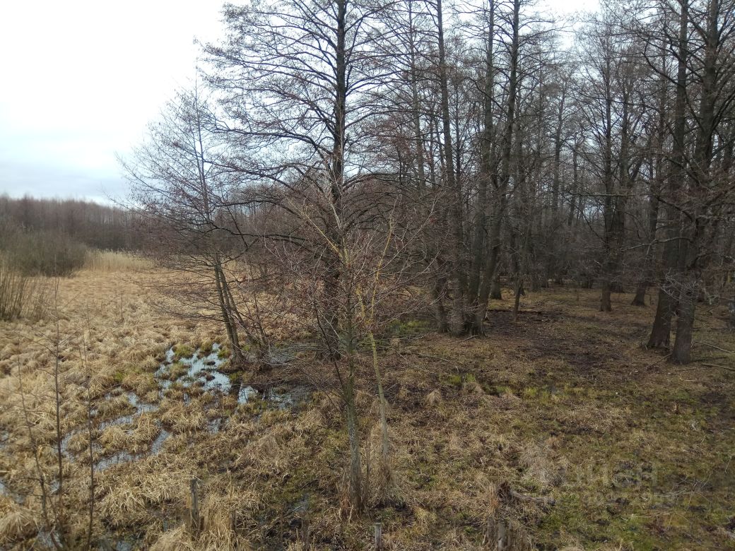 Купить Участок В Воронеже Рамонский Район