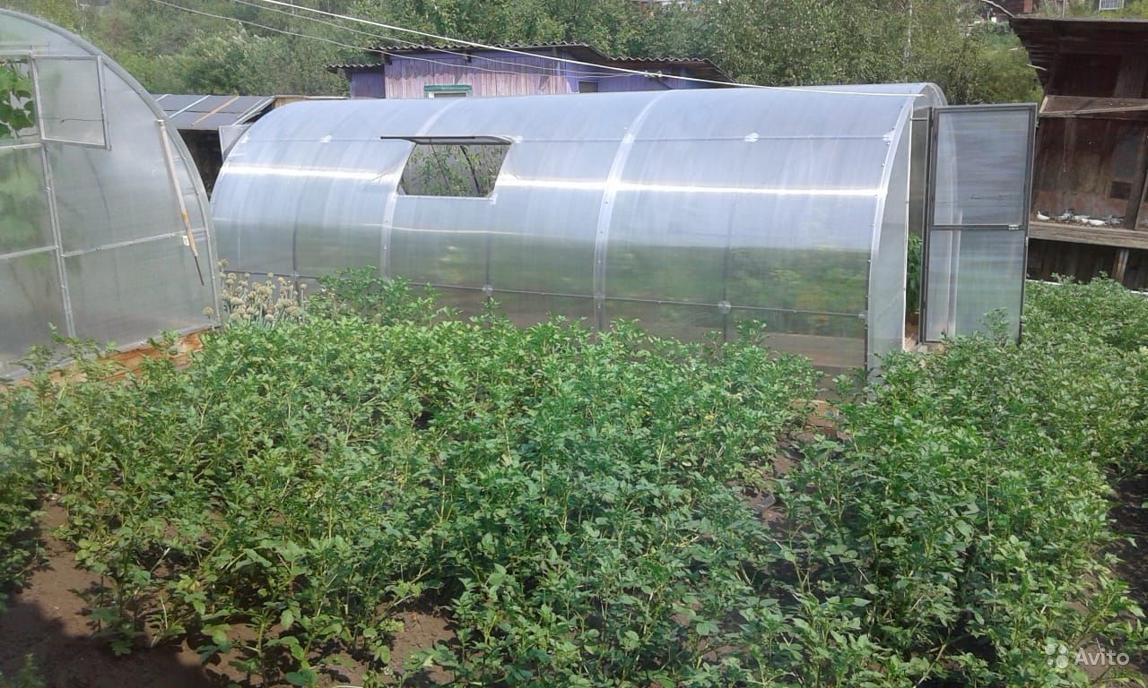 Дом Клик Усть Илимск Купить Дом