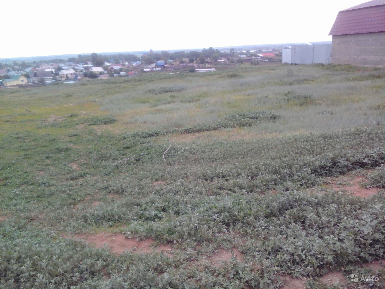 Вязовка самарская область. Село Вязовка Волгоградская область Волжский район. Сухая Вязовка Волжский район. Лес рядом с сухая Вязовка Самарская область.