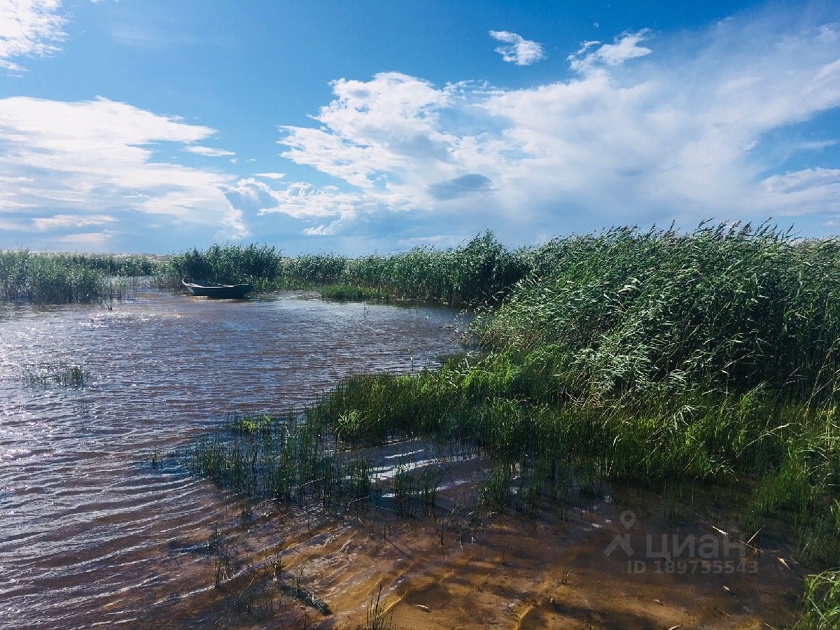 Гдовский Район Фото