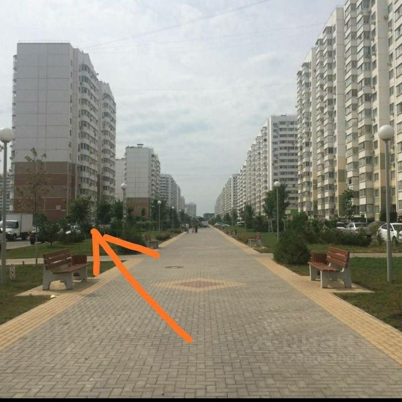 Краснодар//Котлярова