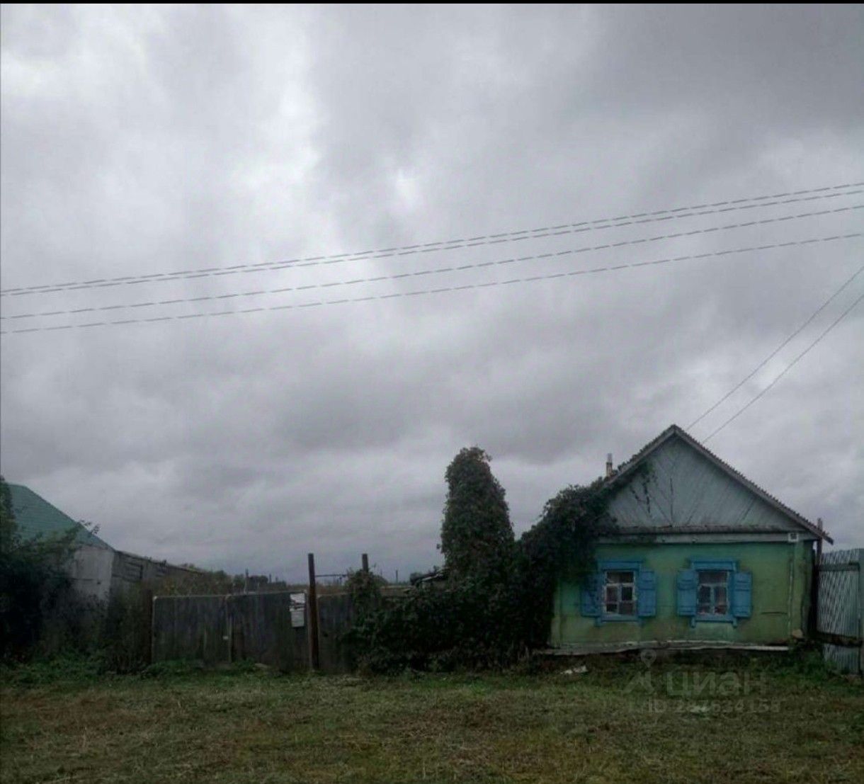 Погода в репьевке кинель черкасском