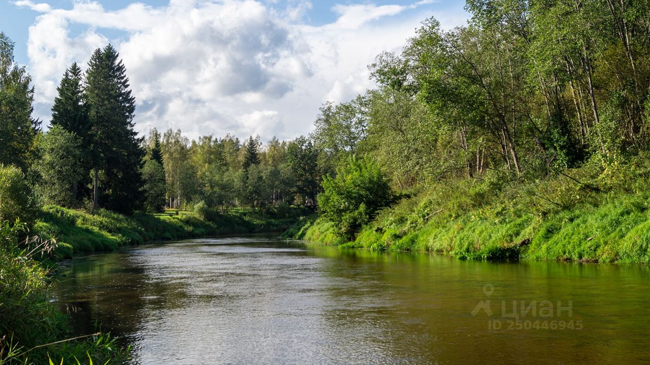 12 га. Деревня Гусенки Талдомский район. Гусенки Талдомский район. Река Дубна Попадьино. Деревня Гусенки Талдомский район фото.