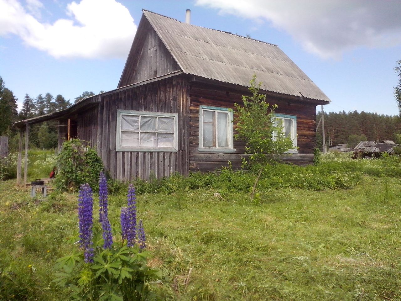 Продай андреаполь. Бобровец Андреапольский район. Деревня Бобровец Тверская область. Деревня Колотилово Тверская область. Деревня Бобровец Вышневолоцкий район.