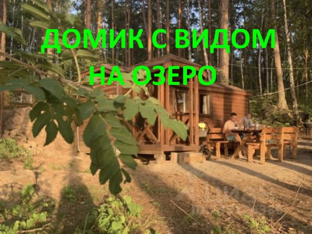 Теплый летний день от скамейки тень