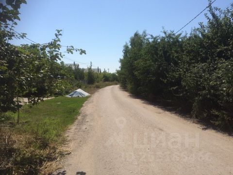 Село яблочное воронежская область хохольский район фото