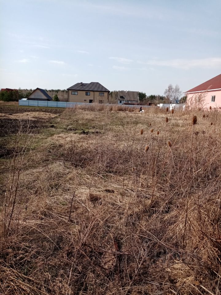 Тюшево рязанская область. Рязанская область село Тюшево. Тюшево Рязанская область фото.