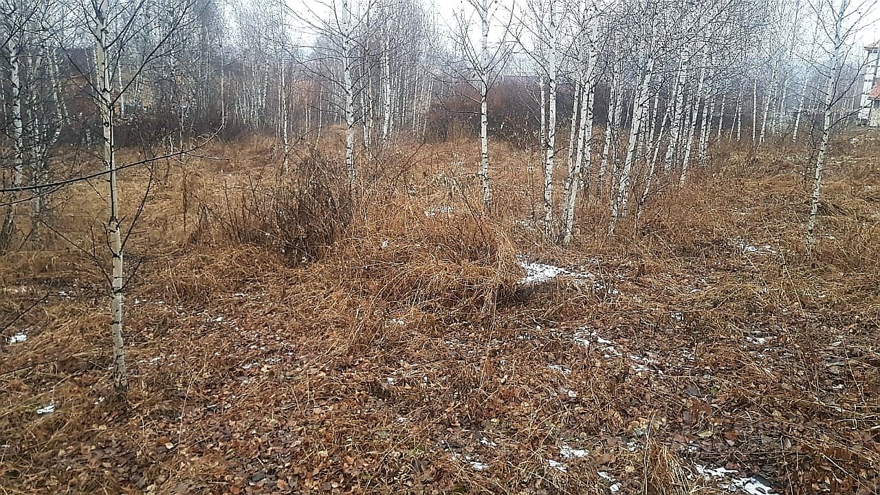 Солонцы емельяновский р н. Поселок Солонцы Красноярского края осенняя 29. Осенняя 29 Красноярск пос Солонцы. Посёлок Солонцы Красноярский край ветерок-5.