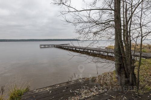 Фотосессия на воде с матрасом идеи