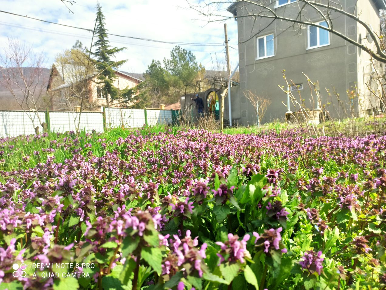 Купить Дом В Кизиловом Севастополь