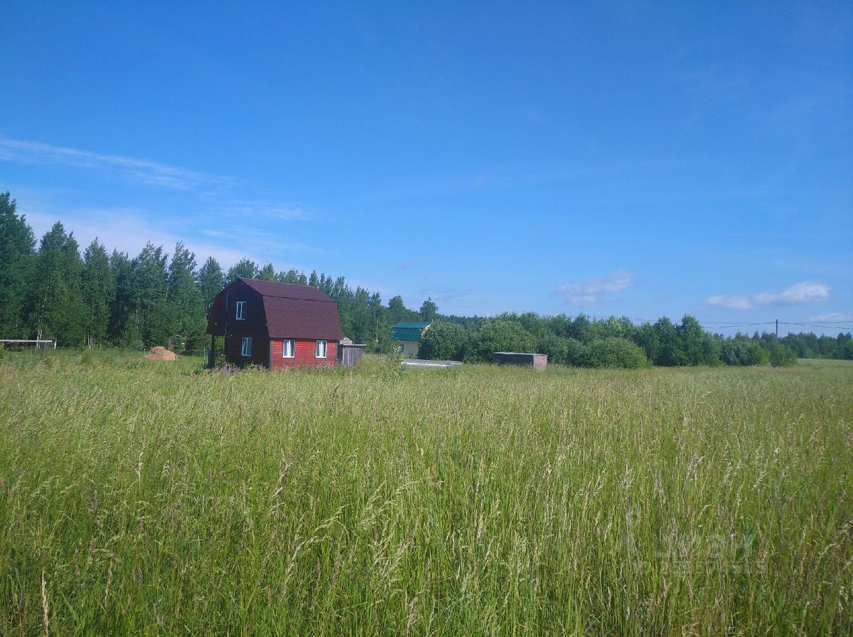 Купить Участок Песчаное Новгородский Район