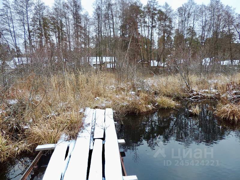 Рп сосновоборск. Рабочий посёлок Сосновоборск. Альмяшевка.