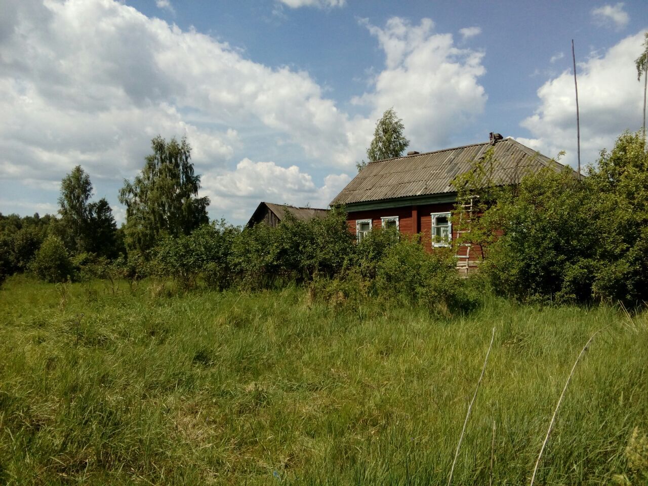 Задне Пилево Клепиковский район. Задне Пилево Рязанская область. Село заднее Пилево Клепиковский район. Заброшенные деревни Рязанской области Клепиковский район.