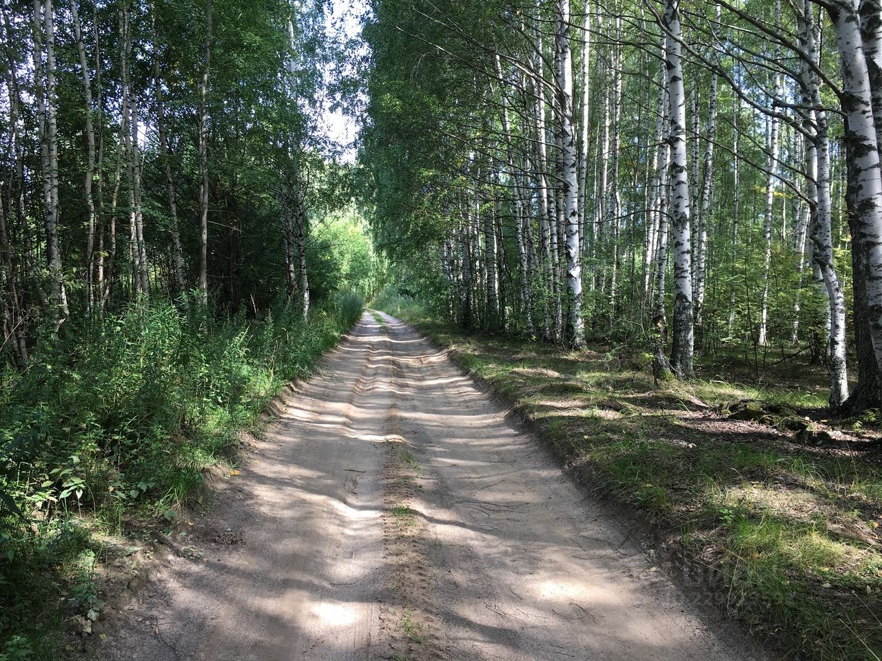 Купить Участок Юрково Сокольский Район Нижегородская Область