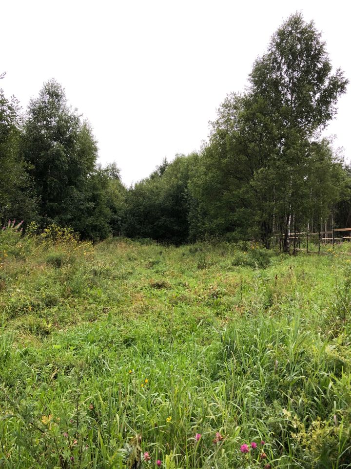 деревня соя шемелинская 10 лысьва. деревня катаево пермский район. лысьва участки. липовая-1. деревня возле краснокамска.