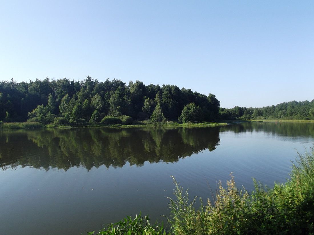 Село Софьино Раменский Район Купить