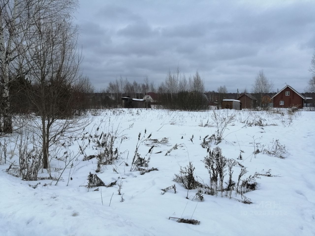 Снт лайнер